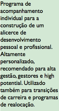 Programa de acompanhamento individual para a construção de um alicerce de desenvolvimento pessoal e profissional. Altamente personalizado, recomendado para alta gestão, gestores e high potential. Utilizado também para transições de carreira e programas de realocação.